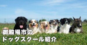 御殿場とその周辺のドッグスクール完全ガイド-愛犬のしつけ・訓練施設をご紹介