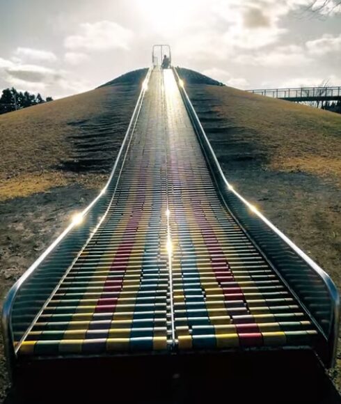 御殿場の桜公園といえばコレ！
大人気の「ロングローラー滑り台」